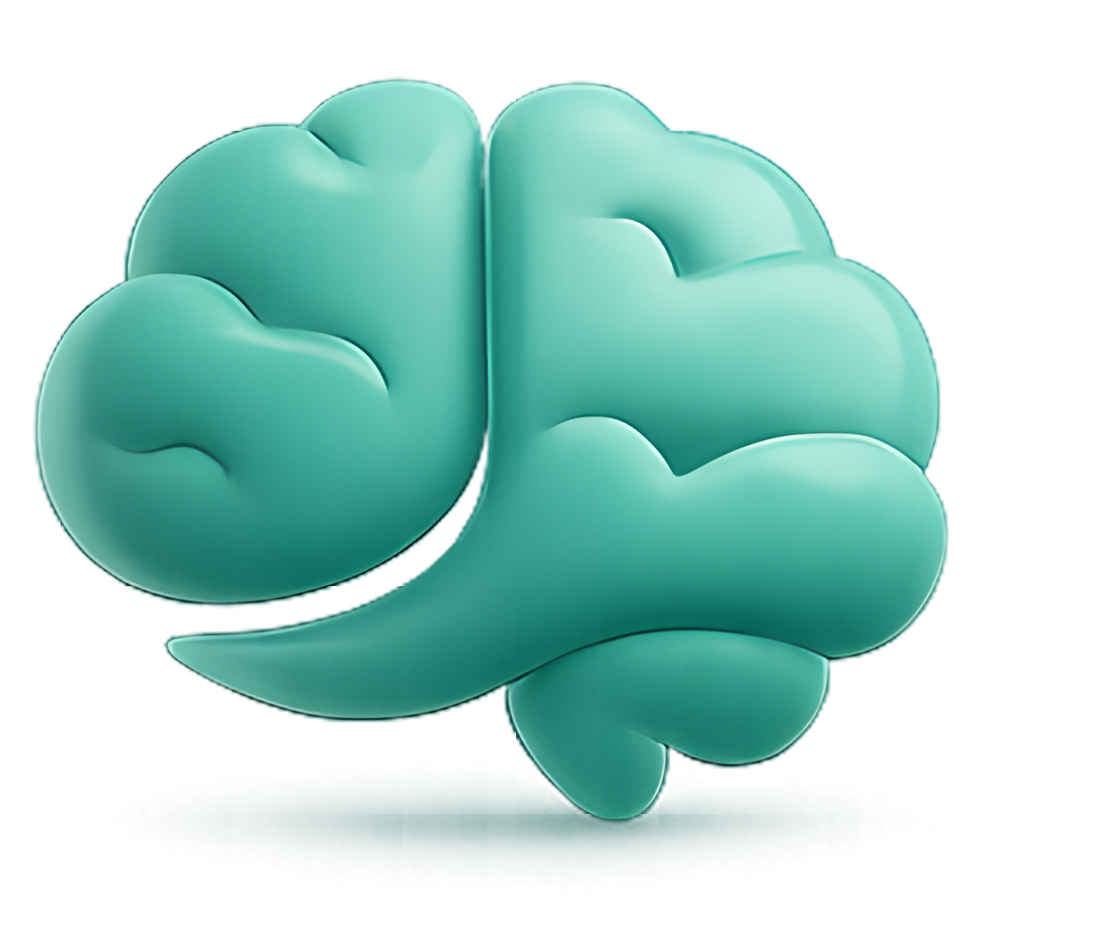 علم وظائف الأعصاب